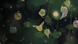 Скриншот 1 к игре Jellies of the Deep