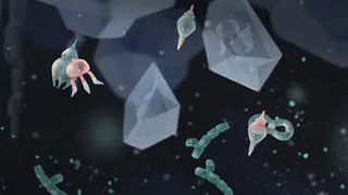 Скриншот 2 к игре Jellies of the Deep