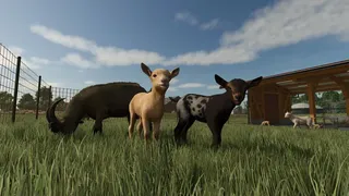Скриншот 2 к игре Farming Simulator 25