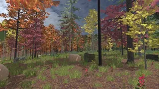 Скриншот 8 к игре Forest Construction VR