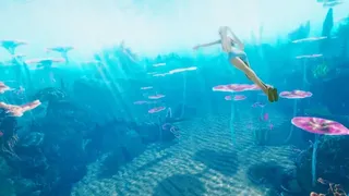 Скриншот 8 к игре Lost boat: VR Underwater Discovery