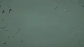 Скриншот 6 к игре Cursed Cove