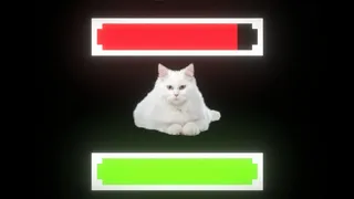 Скриншот 3 к игре Cat Clicker