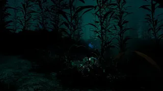 Скриншот 1 к игре Nitrogen Narcosis