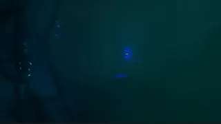 Скриншот 8 к игре Nitrogen Narcosis