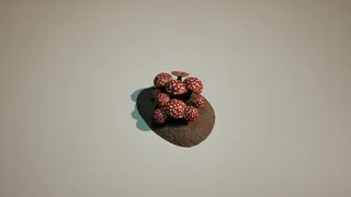 Скриншот 1 к игре Mushroom