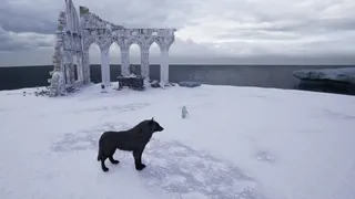 Скриншот 8 к игре SEIDEN