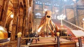 Скриншот 4 к игре Virtual Heritage Tour: VR Museum Adventure