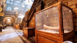 Скриншот 7 к игре Virtual Heritage Tour: VR Museum Adventure