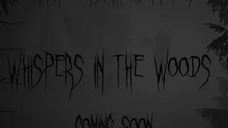 Скриншот 1 к игре Whispers In The Woods