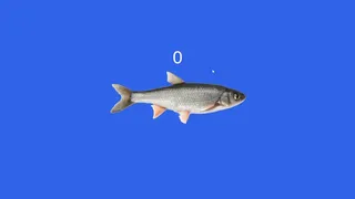 Скриншот 1 к игре Fish