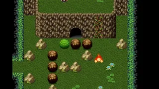 Скриншот 2 к игре Raven Gold