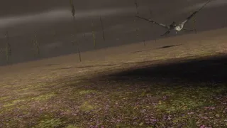Скриншот 4 к игре The Cursed Forest