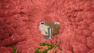 Скриншот 2 к игре Knowledge VR Pack