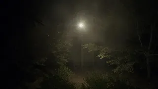 Скриншот 6 к игре Slenderman: Shadow of the Forest