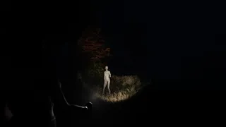 Скриншот 1 к игре Light - Die to Survive
