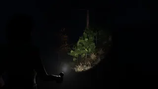 Скриншот 2 к игре Light - Die to Survive