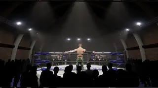Скриншот 4 к игре Neckbreaker: Visceral Pro Wrestling