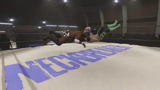 Скриншот 6 к игре Neckbreaker: Visceral Pro Wrestling