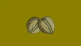 Скриншот 1 к игре Nuts