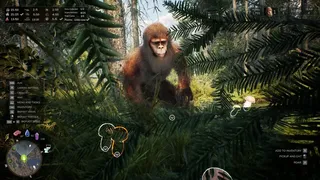 Скриншот 1 к игре Bigfoot Life