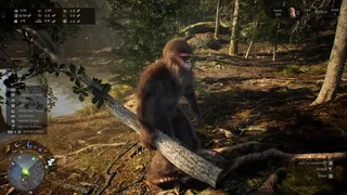 Скриншот 2 к игре Bigfoot Life