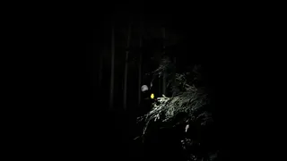 Скриншот 4 к игре Final Night