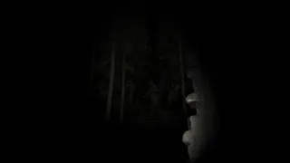 Скриншот 5 к игре Final Night