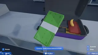 Скриншот 8 к игре Airport X-Ray Simulator
