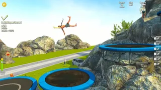 Скриншот 1 к игре Flip Master