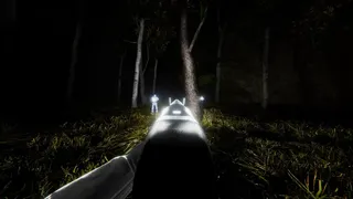 Скриншот 2 к игре FLARE