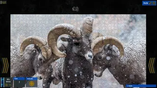 Скриншот 6 к игре SIPE