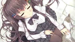 Скриншот 8 к игре A Maiden's Serenade