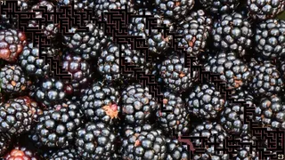 Скриншот 6 к игре A Mazing Cheesesnake