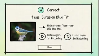 Скриншот 5 к игре BirdLingo: A birdsong learning game
