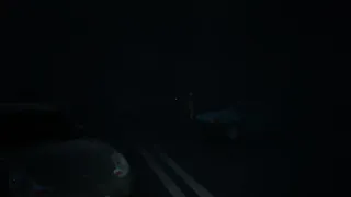 Скриншот 8 к игре Swine's Revenge