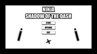Скриншот 1 к игре Ninja: Shadow of the Dash