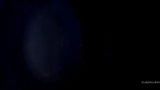 Скриншот 5 к игре RERODENT