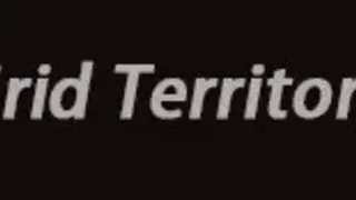 Скриншот 1 к игре Grid Territory