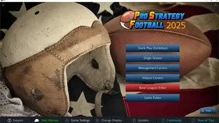 Скриншот 1 к игре Pro Strategy Football 2025