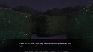 Скриншот 6 к игре Blood of Inquisition