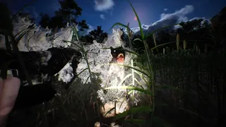Скриншот 1 к игре Darkness Arises