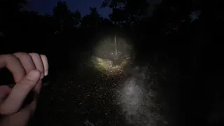Скриншот 7 к игре Darkness Arises