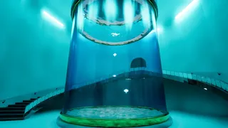 Скриншот 3 к игре 8月32日の水族館