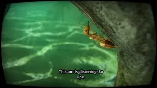 Скриншот 2 к игре Eating Nature