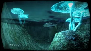 Скриншот 5 к игре Eating Nature