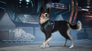 Скриншот 2 к игре Barkour