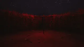 Скриншот 4 к игре CornField