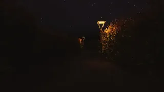 Скриншот 5 к игре CornField
