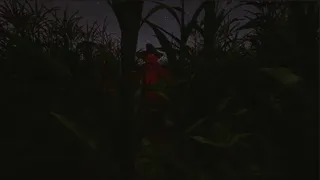 Скриншот 7 к игре CornField